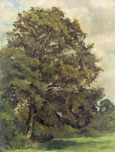 Study of an Ash Tree, c.1851 by Lionel Constable